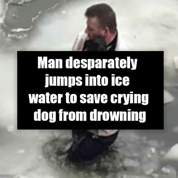 Man desparately jumps into ice water to save crying dog from drowning