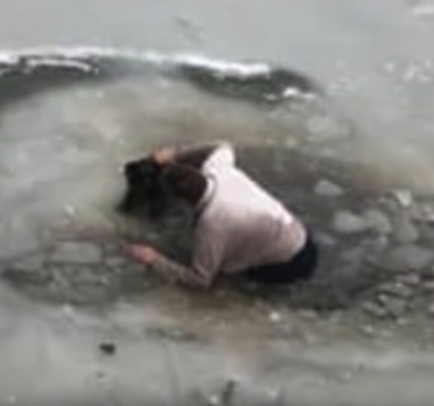 Man desparately jumps into ice water to save crying dog from drowning - picture 2