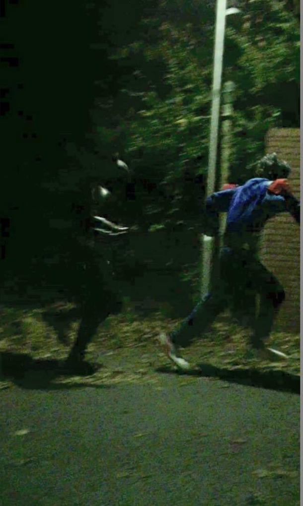 Man Dressed As Batman Is Protecting Kids From This 'Clown Craze' - picture 4