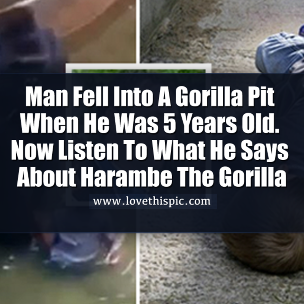 Man Fell Into A Gorilla Pit When He Was 5 Years Old. Now Listen To What He Says About Harambe The Gorilla
