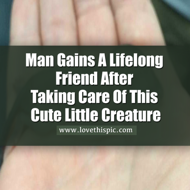 Man Gains A Lifelong Friend After Taking Care Of This Cute Little Creature