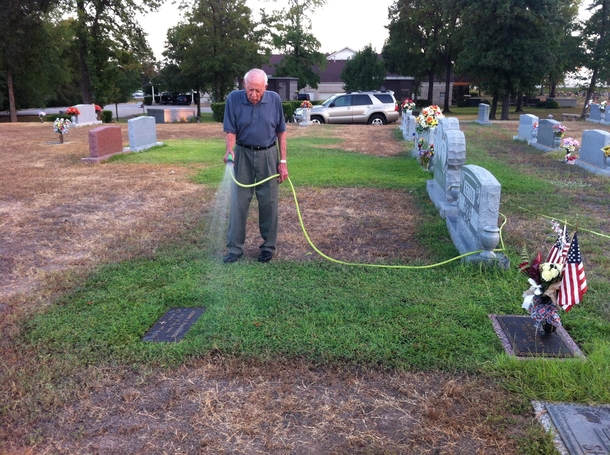 Man Genuinely Shocked To Find Out What Dad Does When He Visits Wife's Burial Site - picture 4