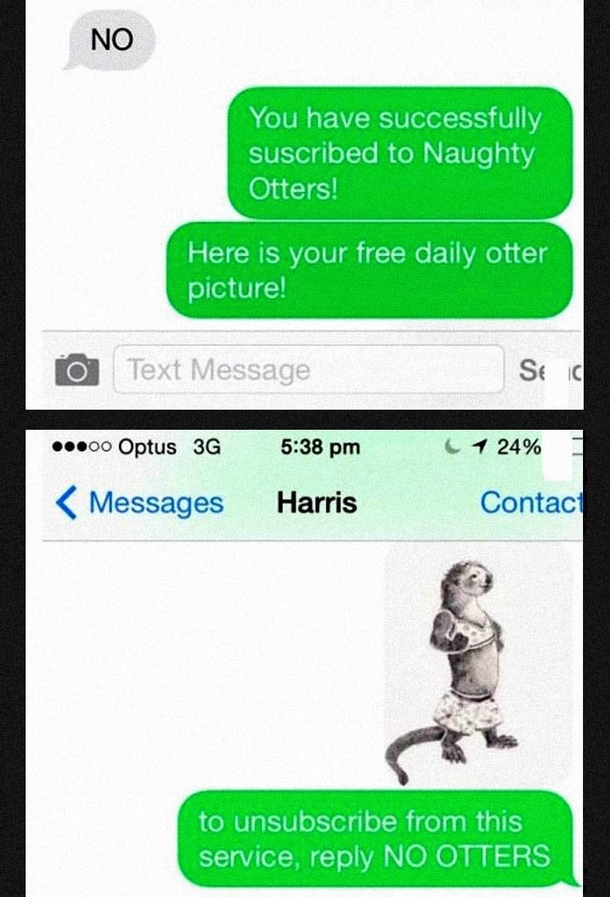 Man Gets A Spam Text Message Then Sends Back The Most Hilarious Reply Ever! - picture 6