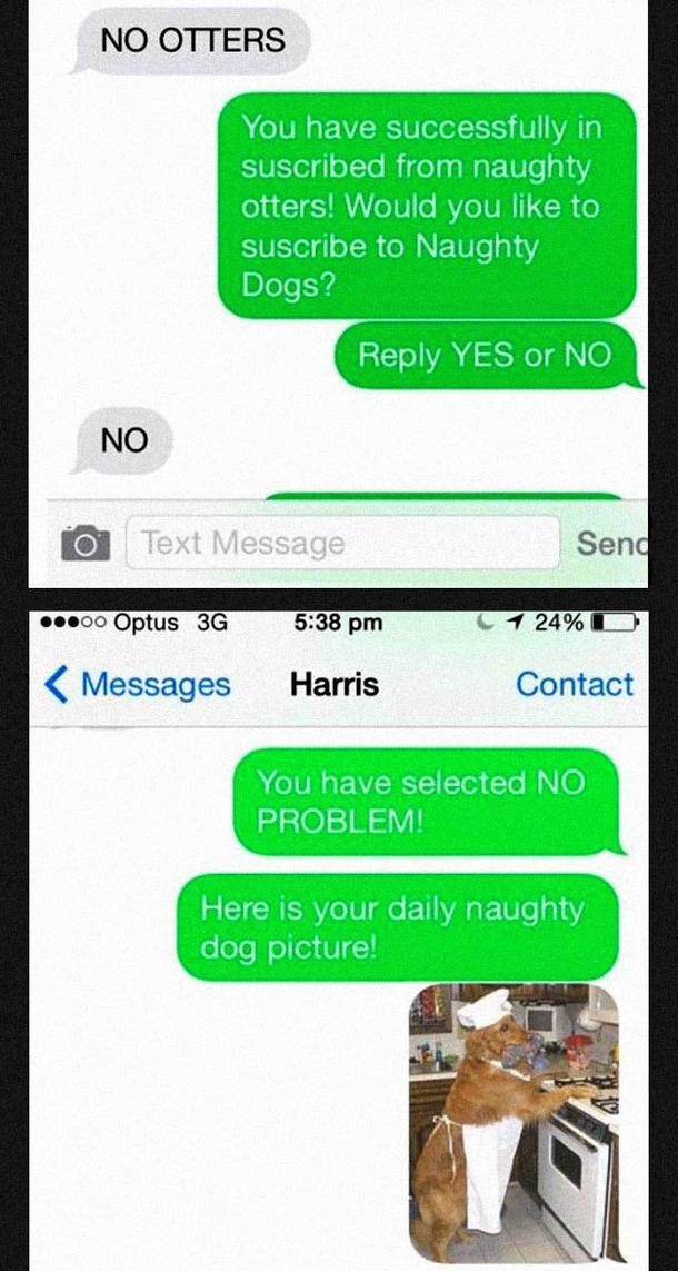 Man Gets A Spam Text Message Then Sends Back The Most Hilarious Reply Ever! - picture 7