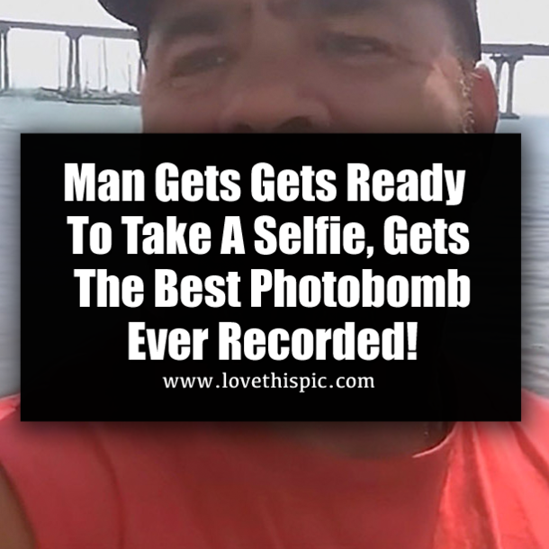 Man Gets Gets Ready To Take A Selfie, Gets The Best Photobomb Ever Recorded!