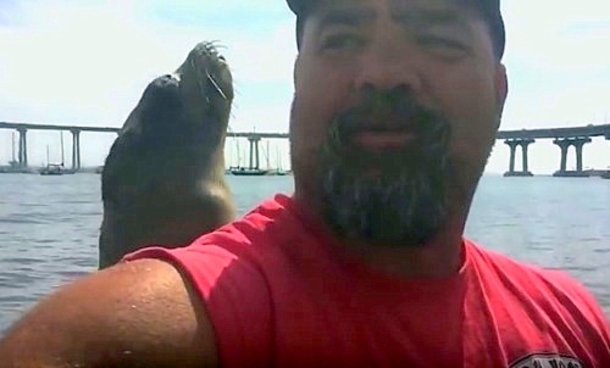Man Gets Gets Ready To Take A Selfie, Gets The Best Photobomb Ever Recorded! - picture 3