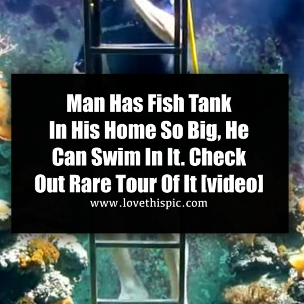 Man Has Fish Tank In His Home So Big, He Can Swim In It. Check Out Rare Tour Of It [video]