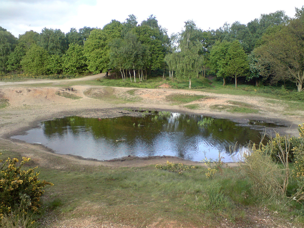 Man Has Unexpected Reaction To Finding Women Skinny-Dipping In His Pond - picture 3
