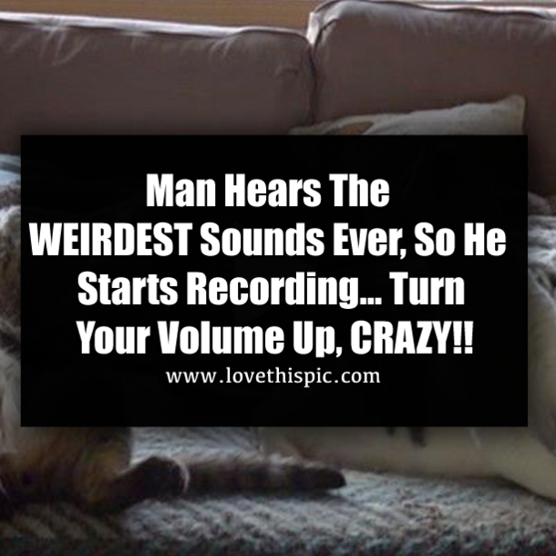 Man Hears The WEIRDEST Sounds Ever, So He Starts Recording… Turn Your Volume Up, CRAZY!!