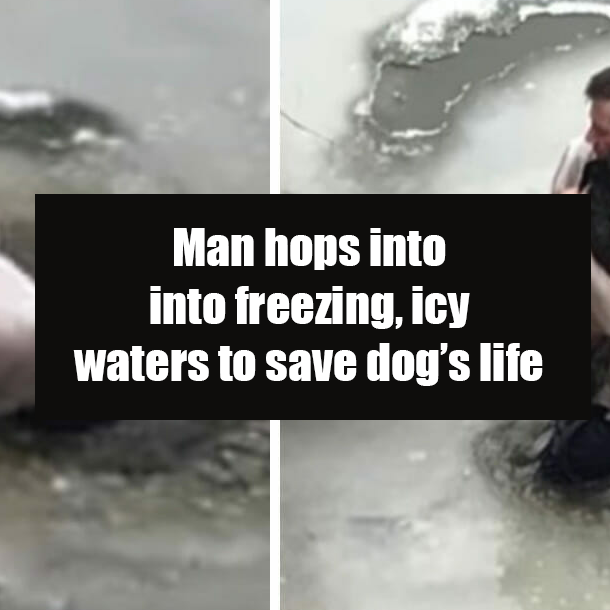Man hops into into freezing, icy waters to save dog’s life