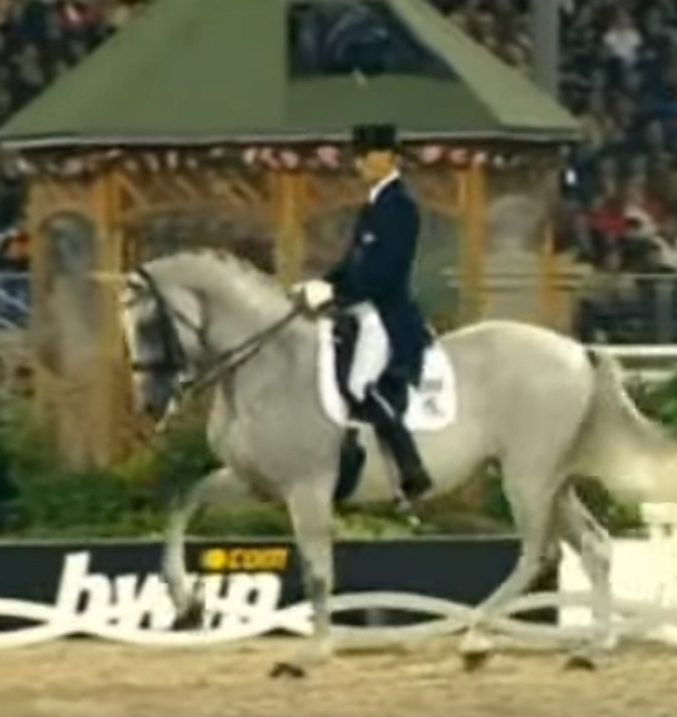 Man Jumps On Horse; Now Watch When The Music Changes, My Jaw Was Left Open - picture 3