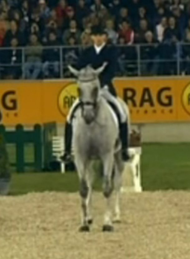Man Jumps On Horse; Now Watch When The Music Changes, My Jaw Was Left Open - picture 5