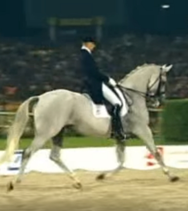 Man Jumps On Horse; Now Watch When The Music Changes, My Jaw Was Left Open - picture 6