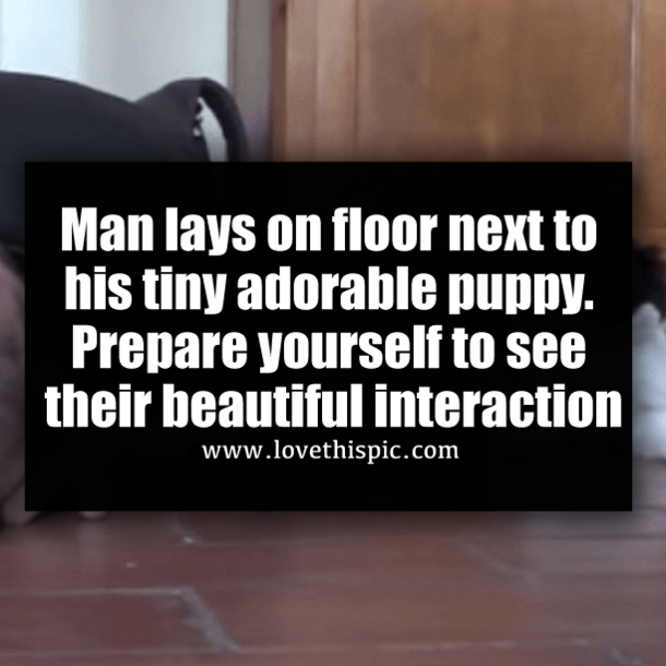 Man lays on floor next to his tiny adorable puppy. Prepare yourself to see their beautiful interaction