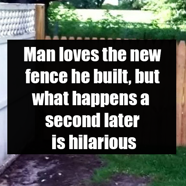 Man loves the new fence he built, but what happens a second later is hilarious