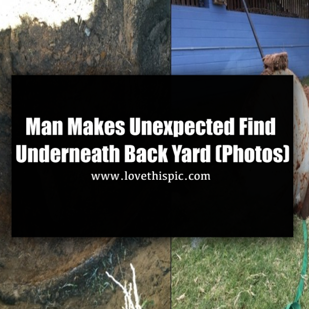 Man Makes Unexpected Find Underneath Back Yard (Photos)
