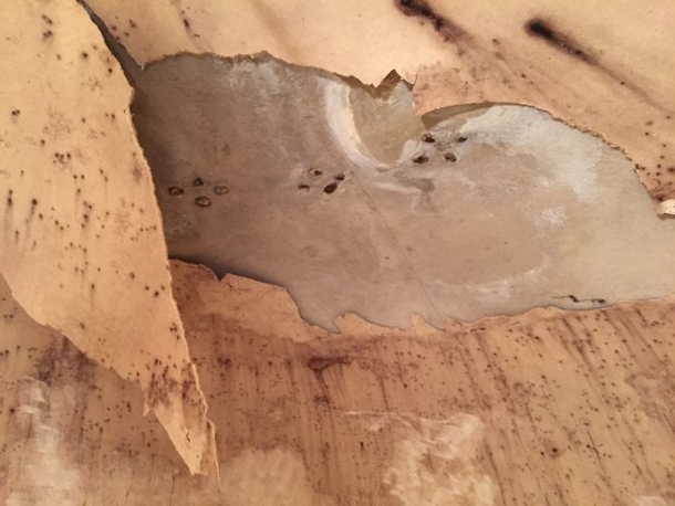Man Makes Unexpected Find Underneath Back Yard (Photos) - picture 15