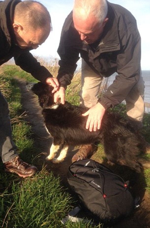 Man Peeks Over Cliff, Acts Fast When He Sees What’s Dangling Off The Edge - picture 4