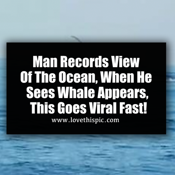 Man Records View Of The Ocean, When He Sees Whale Appears, This Goes Viral Fast!
