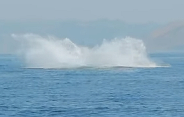 Man Records View Of The Ocean, When He Sees Whale Appears, This Goes Viral Fast! - picture 4