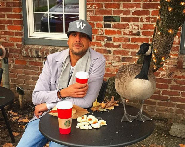 Man saves goose and releases her in the wild. Then she flies back and refuses to leave him - picture 3