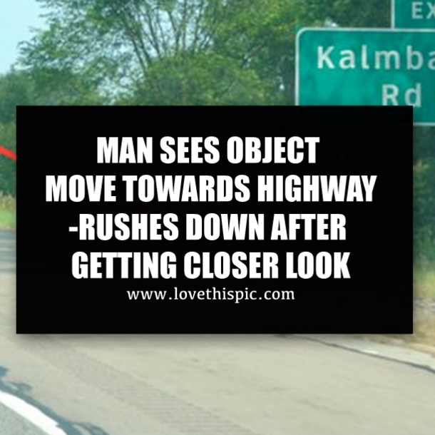 MAN SEES OBJECT MOVE TOWARDS HIGHWAY-RUSHES DOWN AFTER GETTING CLOSER LOOK