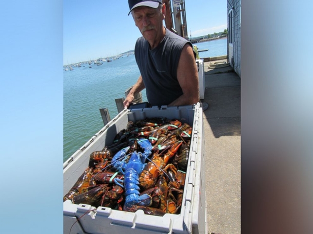 Man Sees What He Pulled Out Of Water, Then Frantically Calls His Wife - picture 3