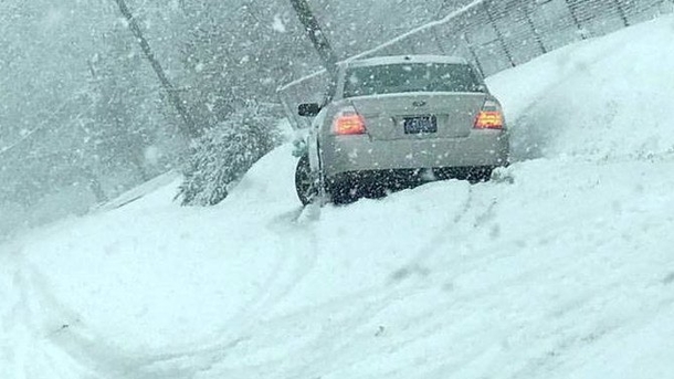 Man Sees Woman Stuck In Snow, Walks Over To Help, Then Sees Her Bumper Sticker And Just Leaves Her - picture 3
