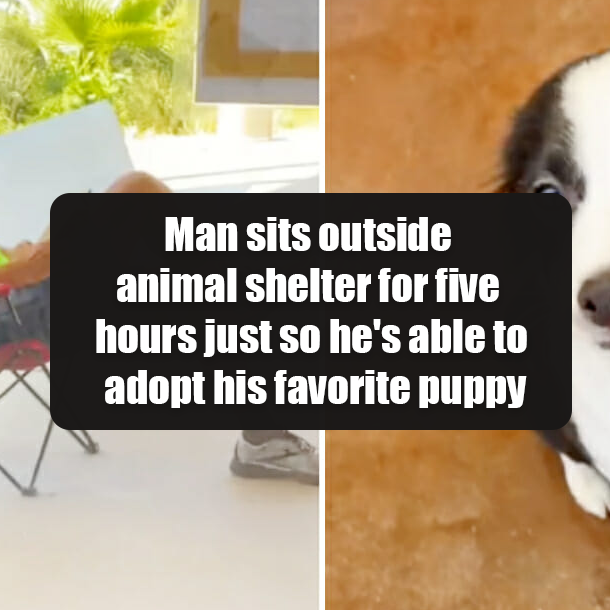 Man sits outside animal shelter for five hours just so he's able to adopt his favorite puppy