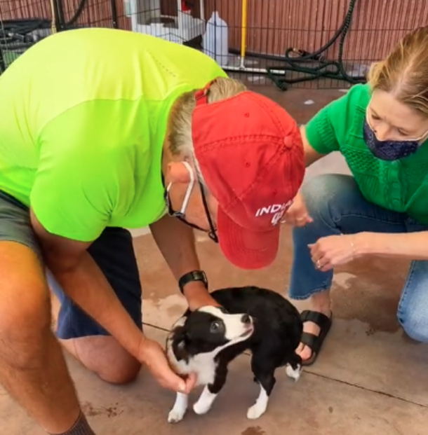 Man sits outside animal shelter for five hours just so he's able to adopt his favorite puppy - picture 4