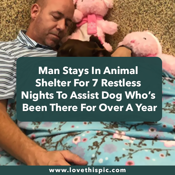Man Stays In Animal Shelter For 7 Restless Nights To Assist Dog Who’s Been There For Over A Year