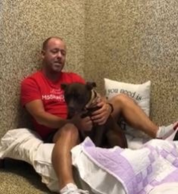 Man Stays In Animal Shelter For 7 Restless Nights To Assist Dog Who’s Been There For Over A Year - picture 2