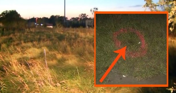 Man Takes Walk By Field, Stunned At What He Saw Hidden In The Grass - picture 2