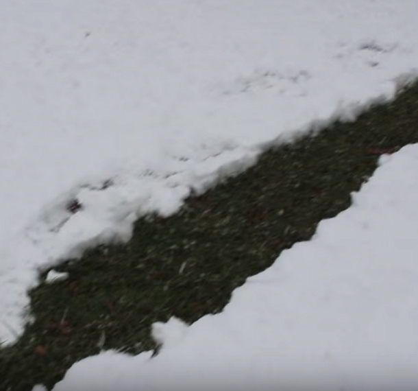 Man Throws His Red Shovel Aside. Shows Everyone An Easy Way To Get Rid Of Snow - picture 5