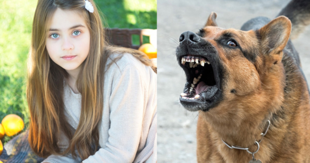 Man Tries To Grab 10 Year Old Girl And Run, That's When Her Dog Springs Into Action - picture 2
