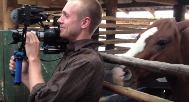 Man Tries To Keep A Straight Face As He Films While Horse's Actions Have Everyone Losing It - picture 2