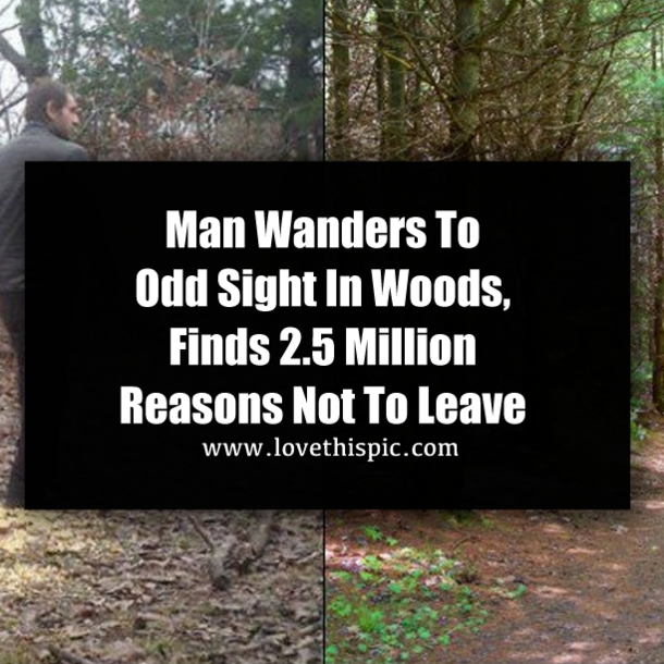 Man Walking In Woods Sees Odd Sight, Finds 2.5 Million Reasons Not To Leave
