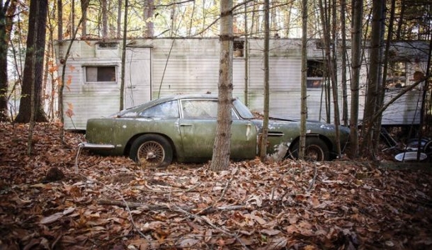 Man Walking In Woods Sees Odd Sight, Finds 2.5 Million Reasons Not To Leave - picture 2