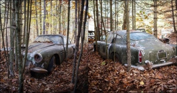 Man Walking In Woods Sees Odd Sight, Finds 2.5 Million Reasons Not To Leave - picture 3