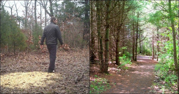 Man Walking In Woods Sees Odd Sight, Finds 2.5 Million Reasons Not To Leave - picture 4