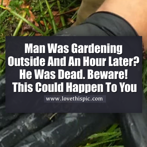 Man Was Ripping Weeds From His Lawn And An Hour Later He Was Dead. Beware! This Could Happen To You.