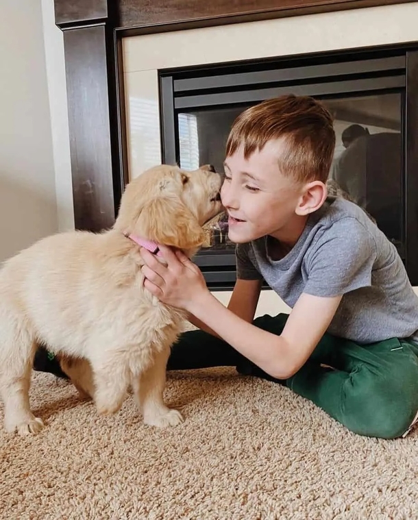 Man who lost a leg in crash befriends and adopts dog with prosthetic legs: ‘Just like me’ - picture 5