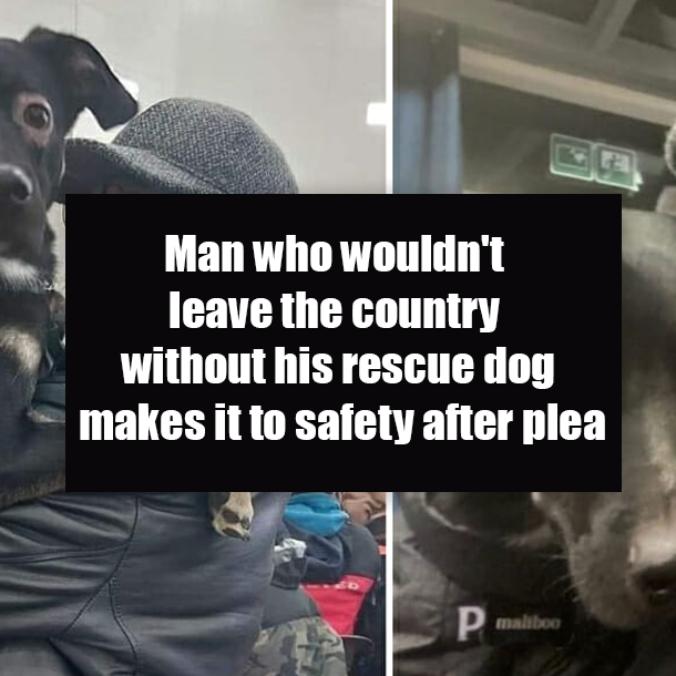 Man who wouldn't leave the country without his rescue dog makes it to safety after plea