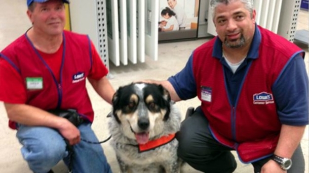 Manager Overhears Odd Customer's Question To Worker, And That's When He Spots This By Man's Feet - picture 2