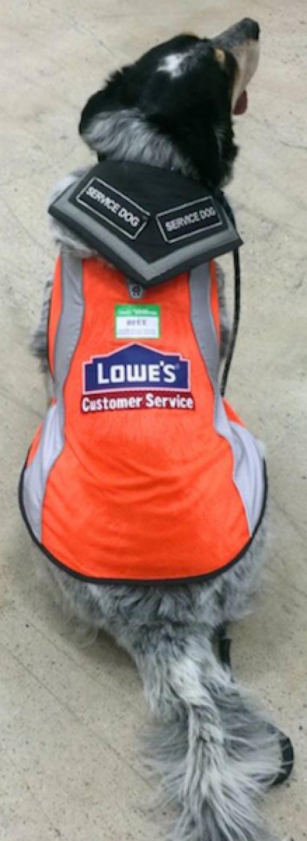 Manager Overhears Odd Customer's Question To Worker, And That's When He Spots This By Man's Feet - picture 3