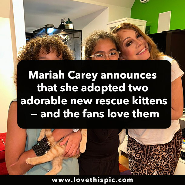 Mariah Carey announces that she adopted two adorable new rescue kittens — and the fans love them