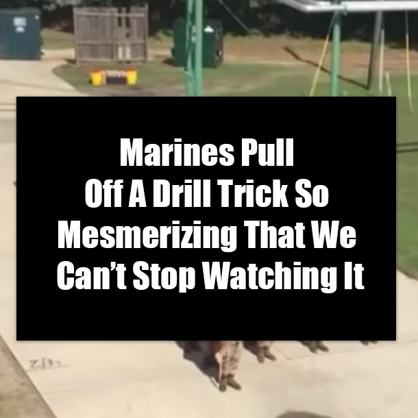 Marines Pull Off A Drill Trick So Mesmerizing That We Can’t Stop Watching It