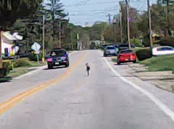 Married Couple Spot Toddler Alone In The Middle Of The Road, Walks Closer And Sees Something Is Terribly Wrong - picture 2