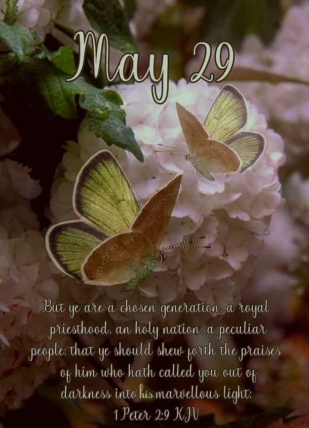May 29 Quotes, Wishes And Greetings For A Beautiful Day - picture 7