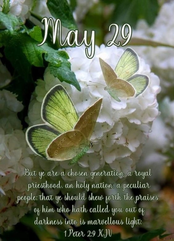May 29 Quotes, Wishes And Greetings For A Beautiful Day - picture 9